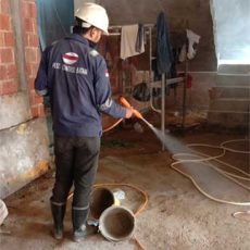 Pest Control Batam