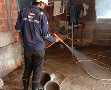 Pest Control Batam